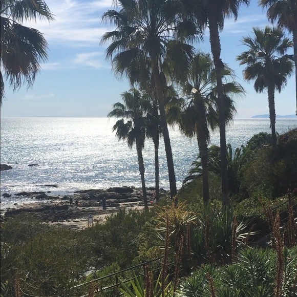 Meet your Posher, Kim - Picture 2 of 3